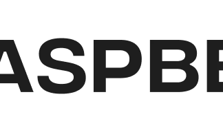 Raspberry AI