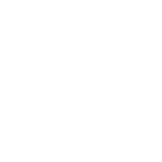 The AI-based Planning Solution for Perishable Foods