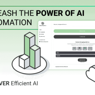 Ever Efficient AI