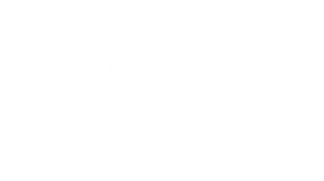 Exodigo