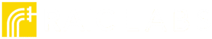 RAIC Labs