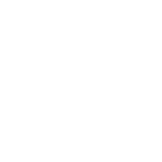 RAIC Labs