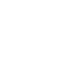 Panmnesia
